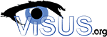 ViSUS - High Performance Big Data Analysis and Visualization Solutions